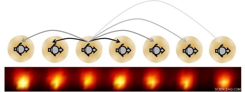 Scientists Create First Time Crystal, Revealing a New State of Matter