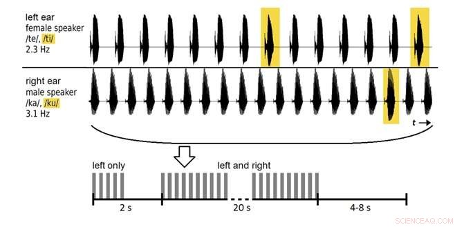 How Brain‑Computer Interfaces Could Revolutionize Hearing Aids