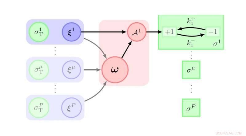 Exploring the Thermodynamics of Learning: Efficiency and Insights