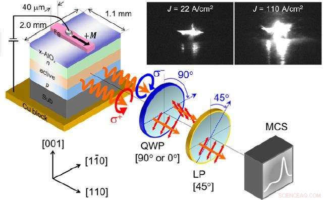 Unexpected Spin Dynamics Observed at Room Temperature