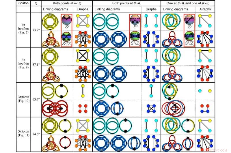 Groundbreaking Experimental Observation of Novel Topological Solitons in Liquid Crystals