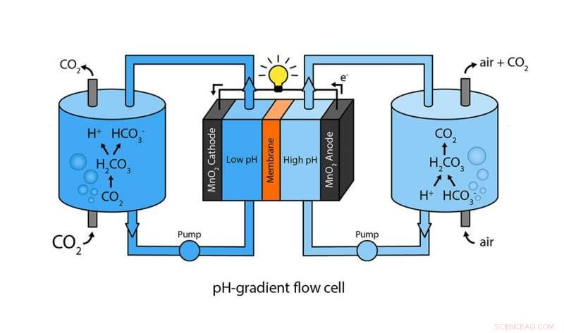 Recharging Batteries Using Carbon Dioxide: A Sustainable Energy Innovation