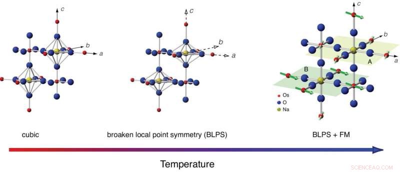 New Quantum State Discovered in Exotic Mott Insulators