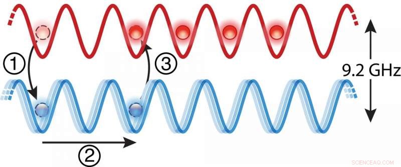 Precision Atom Sorting Machine: Controlled Manipulation of Quantum Particles