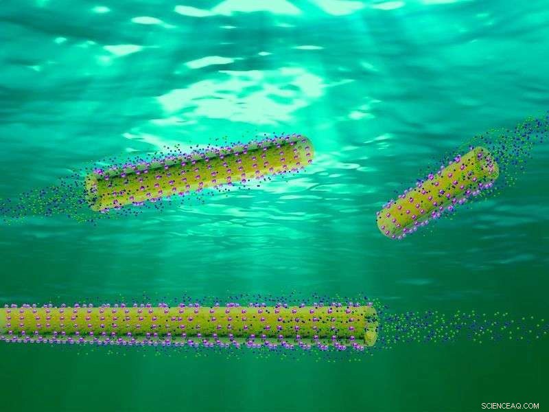 Enzyme-Driven and Ultrasound-Powered Miniature Robots Navigate Biological Fluids