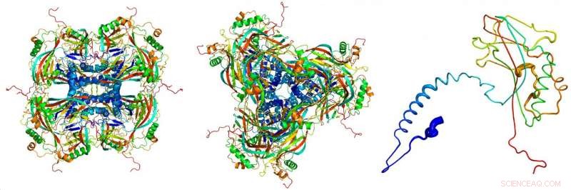 X‑ray Laser Pulses Reveal Viral Cocoon Structure: Scientists Study Record‑Smallest Protein Crystals
