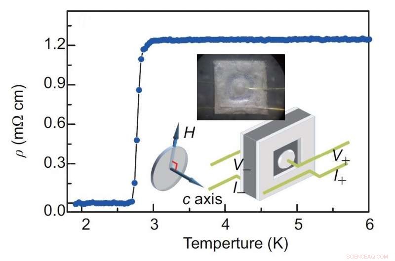 Two-Fold Symmetry in Superconductivity Confirms SrₓBi₂Se₃ as a Topological Superconductor