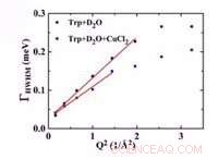 Scientists Investigate Universal Biomolecule-Water Interactions