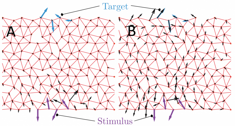 EPFL Breakthrough: Advanced Computer Model Illuminates Distant Protein Control