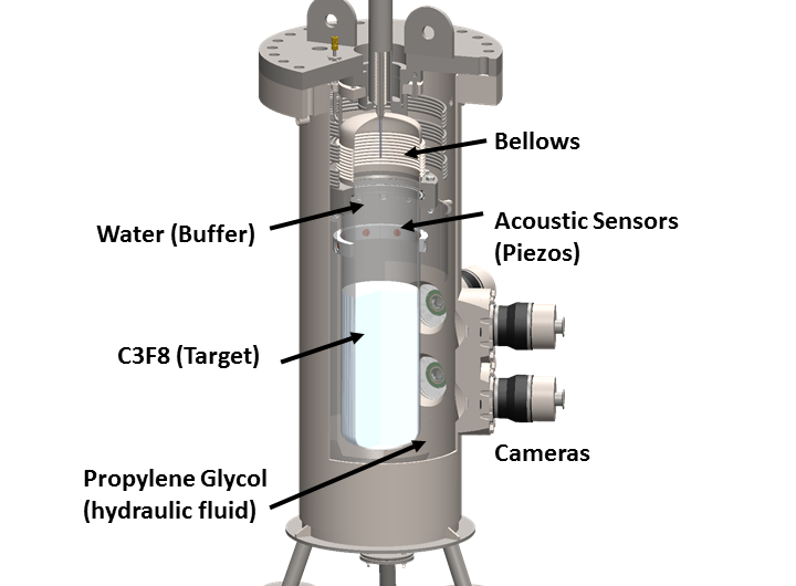 PICO Bubble Chamber Surpasses Sensitivity Expectations in Dark Matter Search