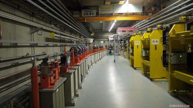 FLASHForward Achieves Milestone: First Electron Bunches Accelerated in Plasma Cell