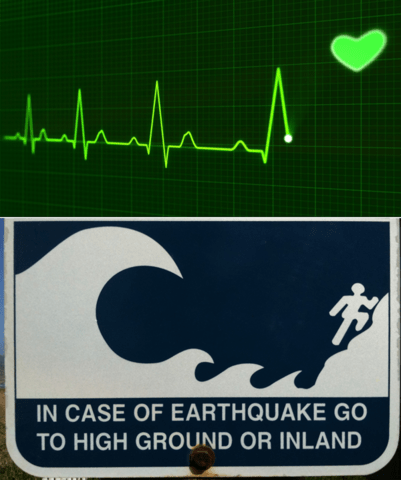 Unraveling the Enigma of Dark Solitons