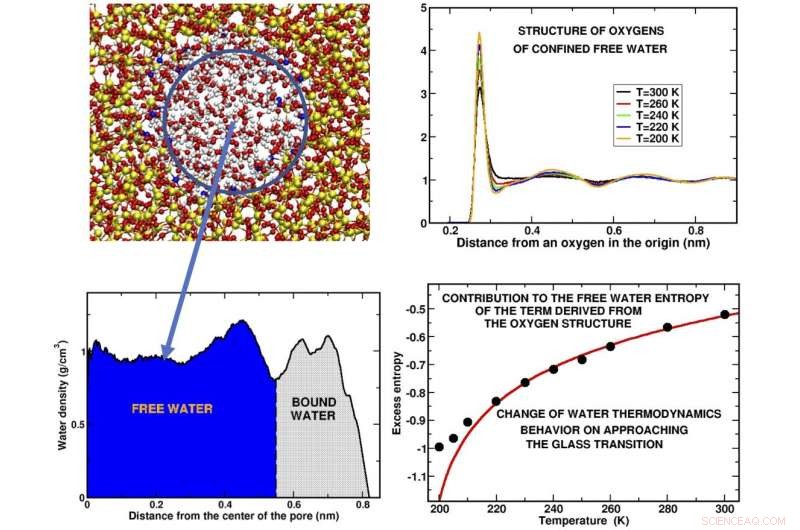 Unlocking the Secrets of Supercooled Water: Insights from Advanced Research