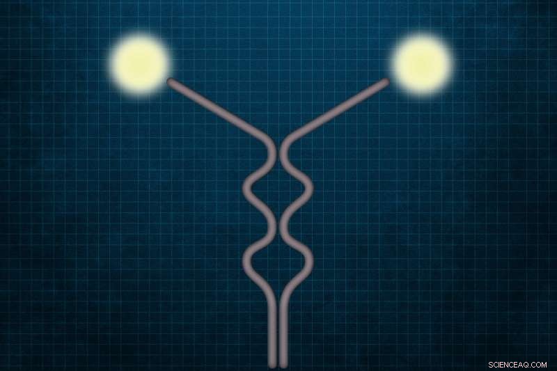 OLYMPUS Experiment Unveils New Insights into Proton Structure