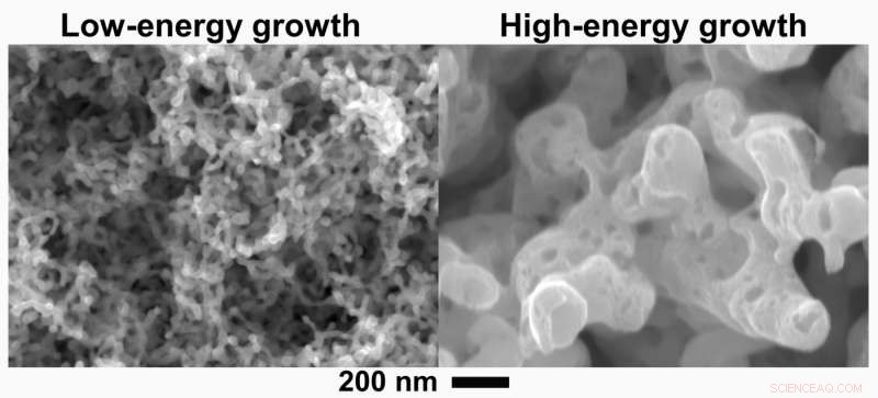 Oak Ridge Lab Research Advances Tungsten Resilience for Fusion Reactor Materials