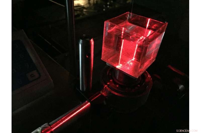 Exploring the Inner Dynamics of Liquid Droplets