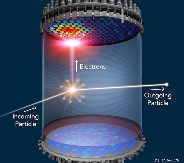 LUX‑ZEPLIN Dark Matter Detector Receives 10‑Ton Upgrade