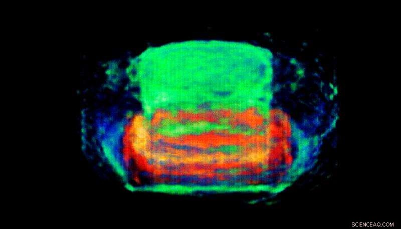 Advanced Imaging of High-Explosive Detonators: 3D Visualization for Enhanced Safety