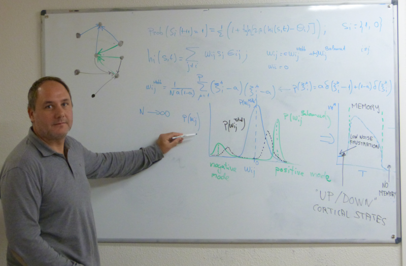 Linking Magnetic Systems to Brain Activity States: Groundbreaking Findings from the University of Granada