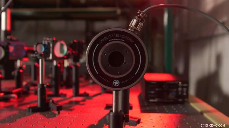 Real-Time Imaging of Micro- and Nanoscale Surface Evolution During Laser Pulses