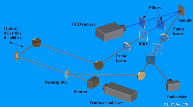 Real-Time Imaging of Micro- and Nanoscale Surface Evolution During Laser Pulses