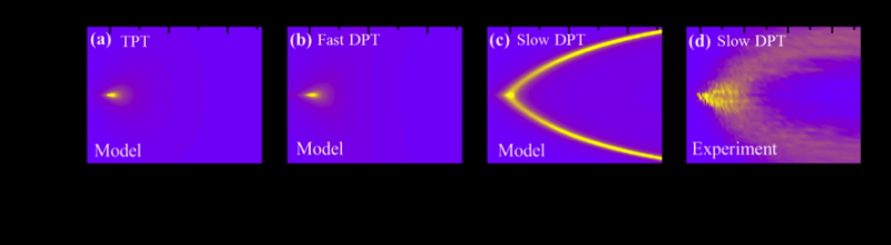 Decoding the Peculiar Behavior of Slow Dynamics in Complex Systems