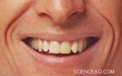 Can Quantum Theory Unveil the Secret Behind Why Jokes Make Us Laugh?