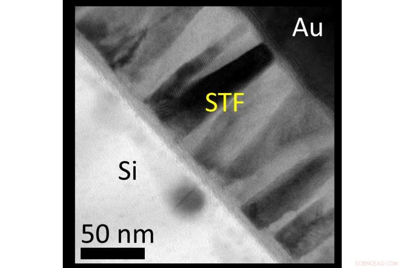 Nano-Polycrystalline Films Outperform Single-Crystal Counterparts in Magnetic Strength
