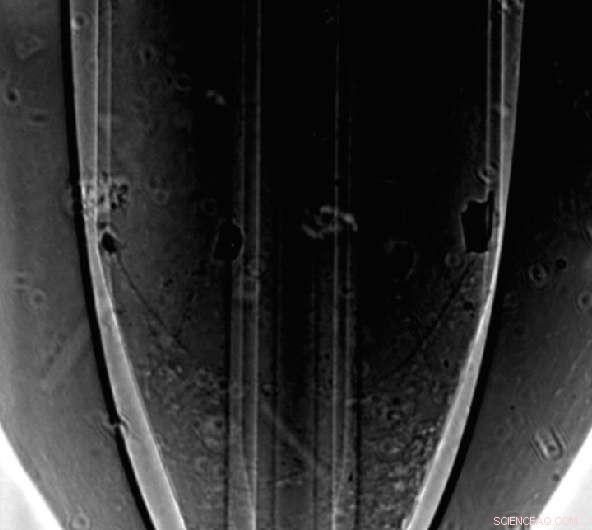 Innovative Double‑Flow Nozzle Enhances Protein Crystallography by Preserving Crystals