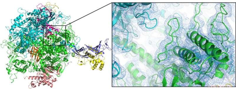 Innovative Double‑Flow Nozzle Enhances Protein Crystallography by Preserving Crystals