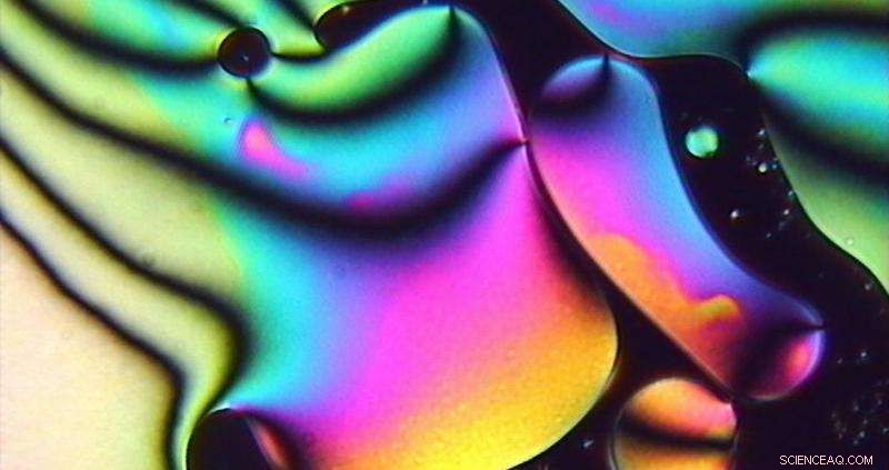 Unveiling the Inner Mechanisms of Liquid Crystals: Latest Research Insights