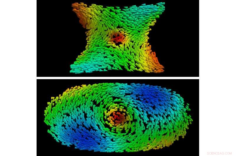 Engineering Magnetic Textures: Controlling Antivortices and Vortices on Curved Surfaces