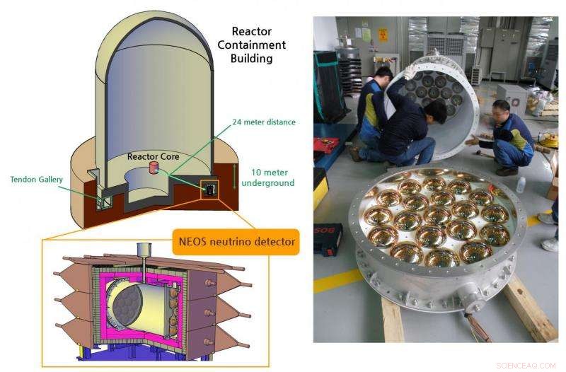NEOS Experiment Finds Partial Deviations in Sterile Neutrino Results