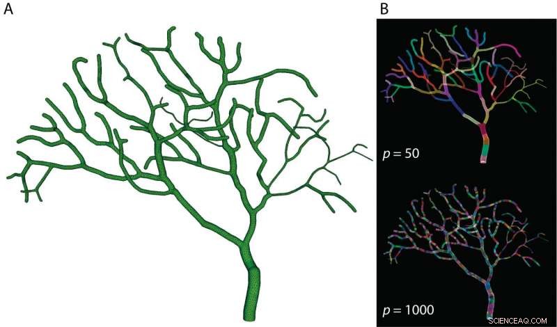Parallel Computing Uncovers New Insights into Brain Function