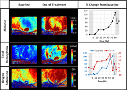 LED Device for Accurate Imaging of Radiation-Induced Skin Damage