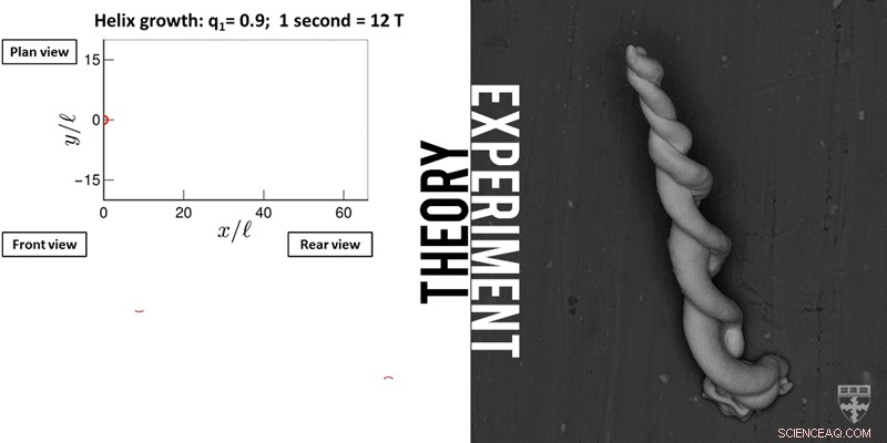 Precision Crafting of Optical Microstructures Through Minor Chemical Adjustments