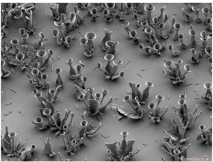 Precision Crafting of Optical Microstructures Through Minor Chemical Adjustments