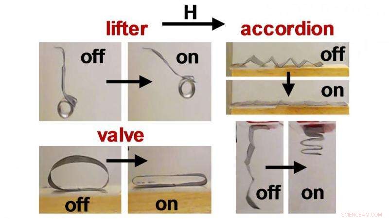 Scientists Harness Magnetic Fields to Precisely Control Soft Robots
