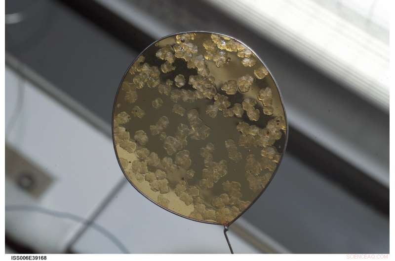 Space Station Scientists Grow Crystals to Advance Drug Discovery