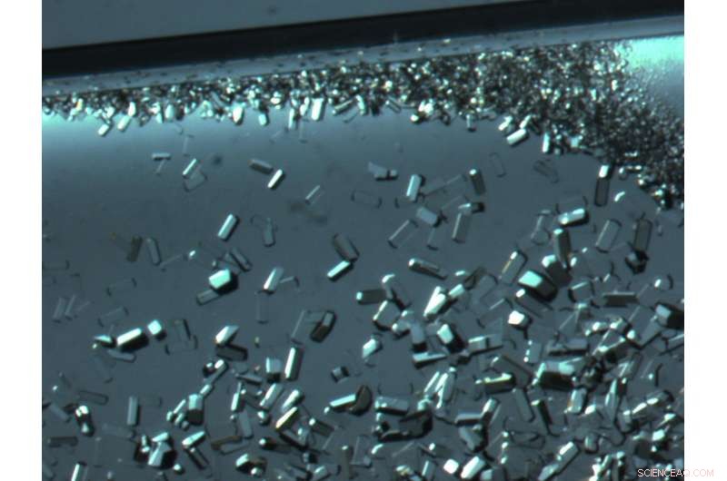 Space Station Scientists Grow Crystals to Advance Drug Discovery