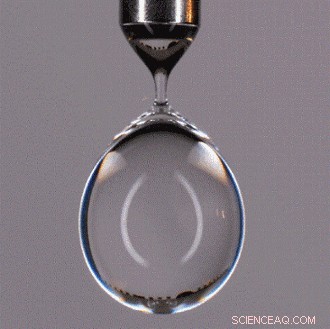 Exploring Water’s Dynamic Surface Tension: Causes, Behavior, and Applications