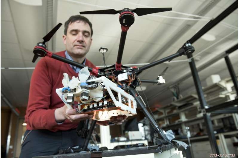 How Horseshoe Bats Use Ear and Nose Movements to Enhance Biosonar