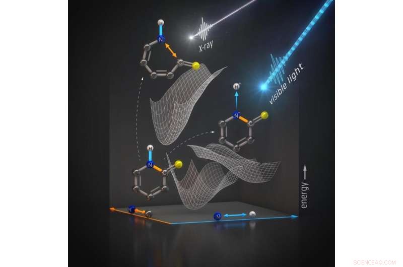 Scientists Observe Molecule Shielding Itself from Radiation Damage