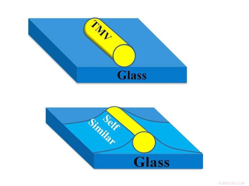 New Study Uncovers Unexpected Behavior of Glass Surfaces