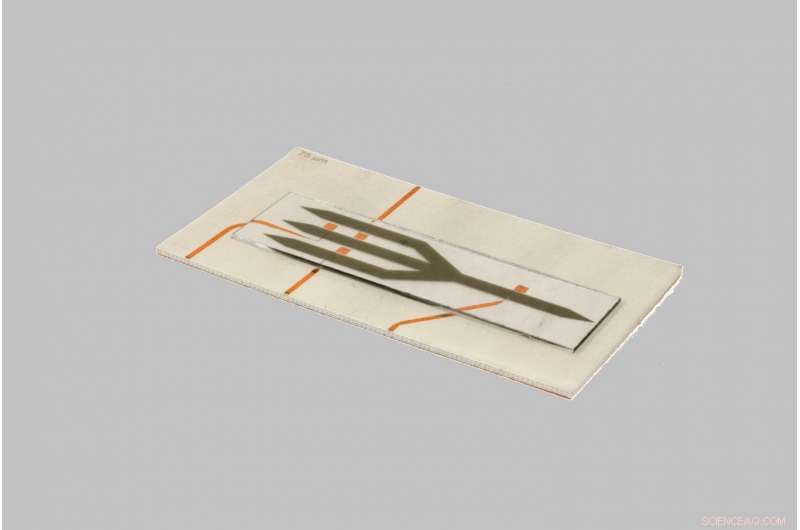 Prototype Spin‑Wave Majority Logic Gate Leveraging Interference for Advanced Information Processing