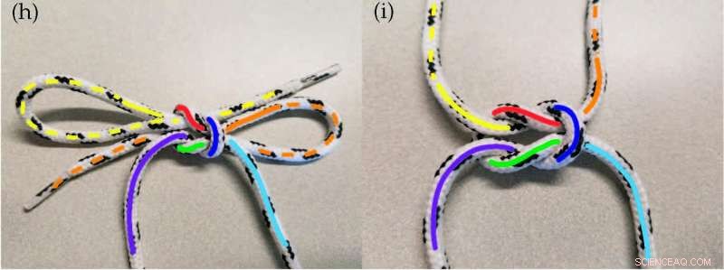 Why Your Shoelaces Untie: UC Berkeley Study Reveals the Physics Behind It