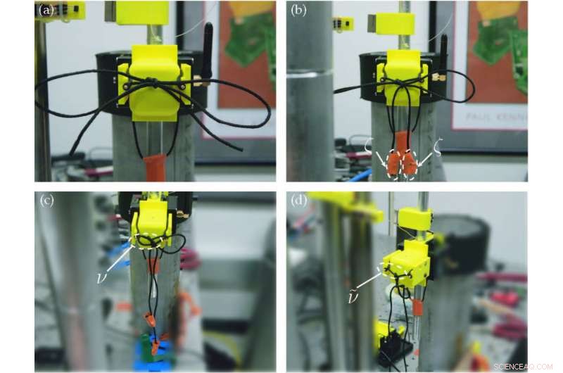 Why Your Shoelaces Untie: UC Berkeley Study Reveals the Physics Behind It