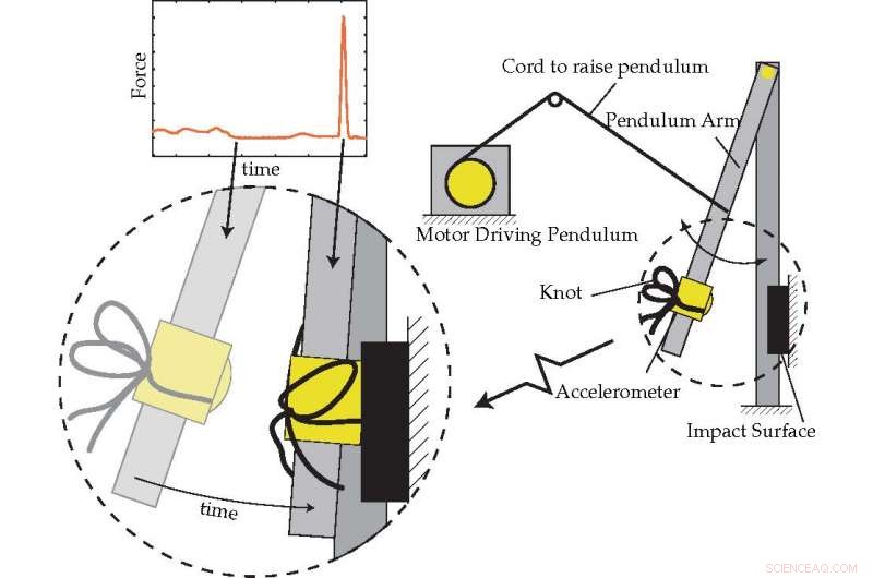 Why Your Shoelaces Untie: UC Berkeley Study Reveals the Physics Behind It