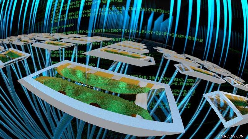 Trapped-Ion and Superconducting Qubits Compete in Quantum Performance Test