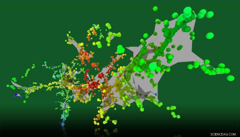 Pulsed Ion Beams Uncover Nonlinear Dynamics of Radiation-Induced Defects in Silicon Carbide